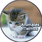 Cover Image of Descargar Imagenes de Animales Tiernos 1.1 APK