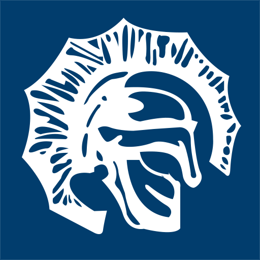 First Sentinel Wealth logo