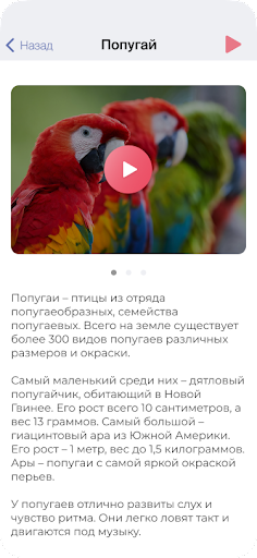 AR Travel Screen 3