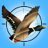 Duck Hunting 3D: Ultimate Hunt