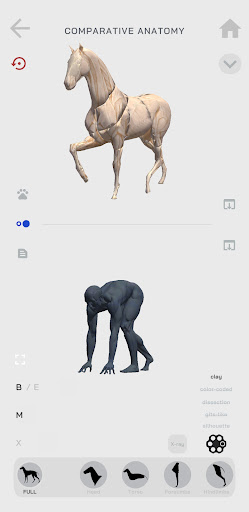Anastomia: Human|Horse|Wolf Screen 2