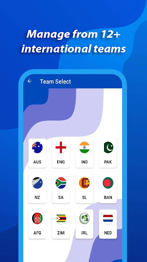 Cricket Manager Journey Screen 2