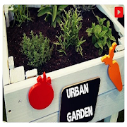 Cultivate ecological urban garden