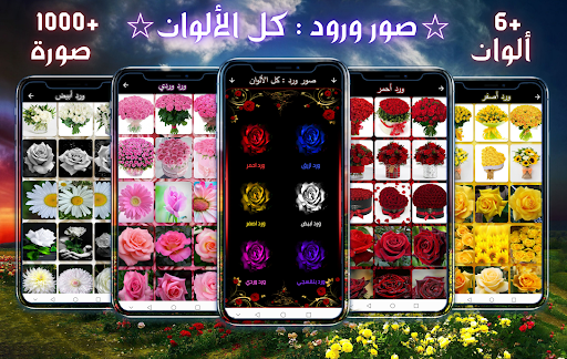 Rose pictures: all colors Screen 2