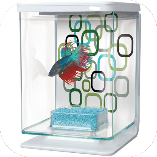DIY Aquarium Design  Icon