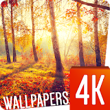 Autumn Wallpapers 4k icon