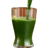 Green Juice for Weight Loss icon