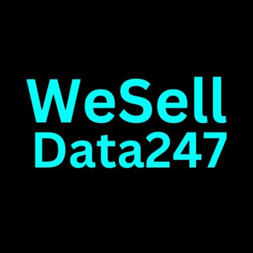 WeSellData247 VTU logo