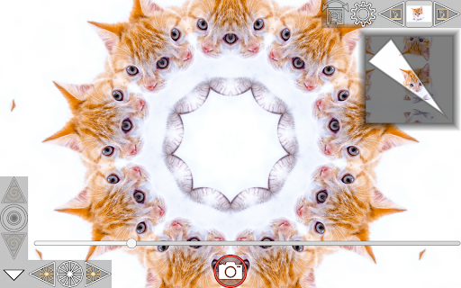 Screenshot 19
