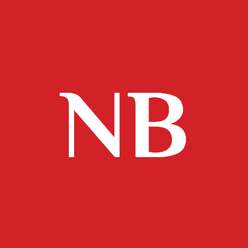 NewsyBird logo
