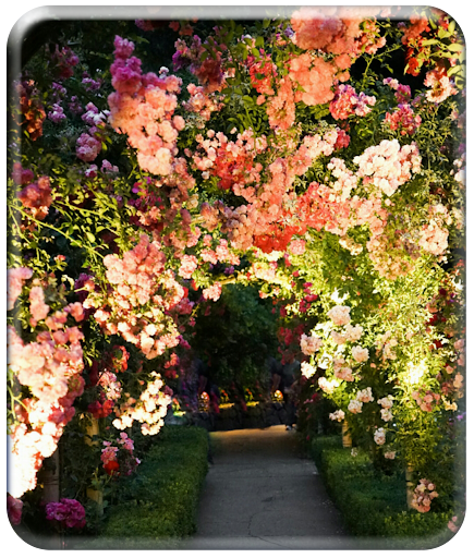 Garden Wallpaper HD Screen 3