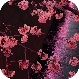 Icon image Japanese Sakura Garden Video W