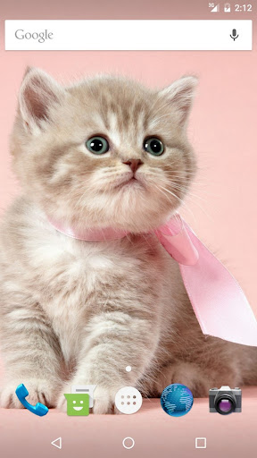 Android application Wallpapers Kitty screenshort