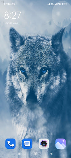 Wolf Wallpapers