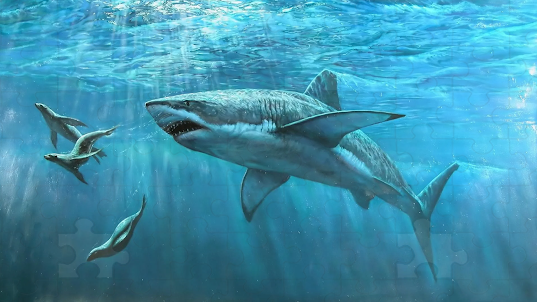 Megalodon Game Puzzle