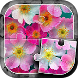 Flowers Puzzle Game icon
