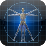 Human Anatomy,Physiology Wiki icon