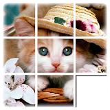 Cat Slide Puzzle icon