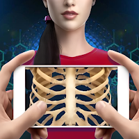 Xray Body Scanner Simulator