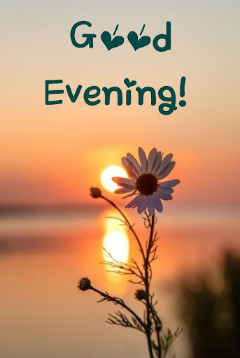 Android application Beautiful evening greetings screenshort
