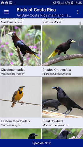 Birds of Costa Rica Screen 2