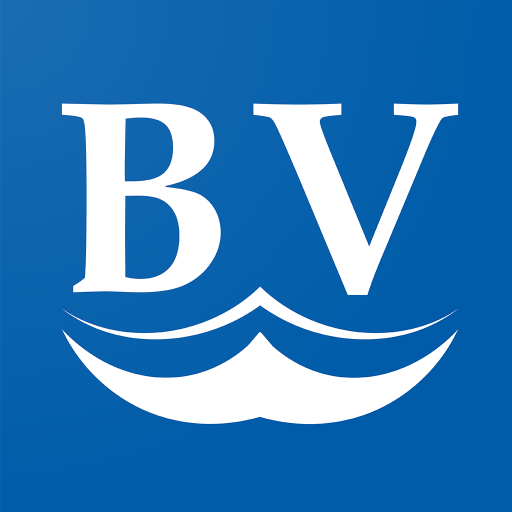 BV Digital  Icon