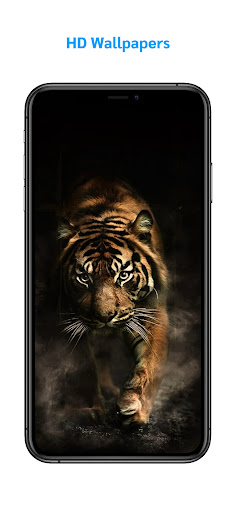 3D Tigers Wallpapers