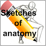 Cover Image of Baixar Sketches of anatomy  APK