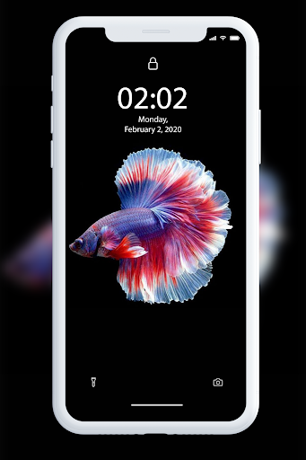 ベタの魚の壁紙 By Wallpaper Apps Studio Google Play Japan Searchman App Data Information