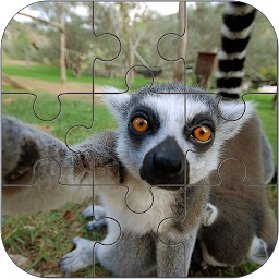 National Animals Puzzle Mod Apk