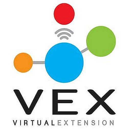 VEX Virtual Extension logo