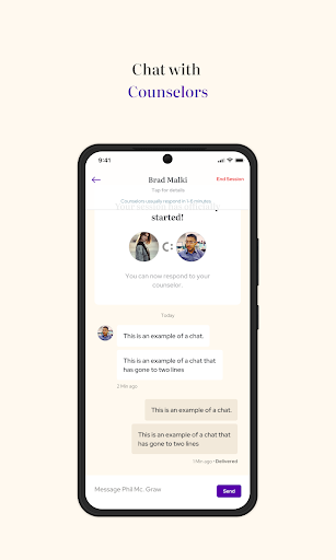 Counslr Screen 3