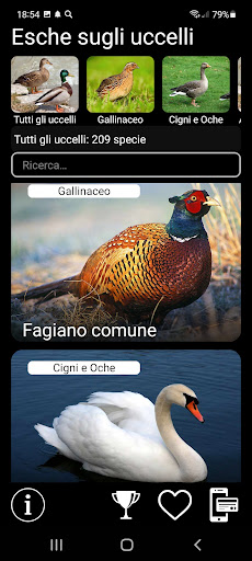 Anteprima dell'app
