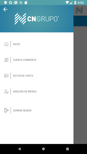 CN Grupo Screen 3