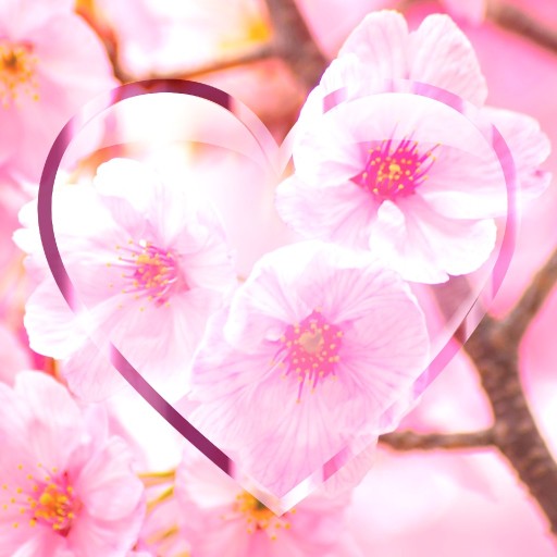 Flower Wallpapers HD Floral 3.0 Icon