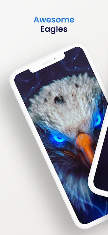 Eagle bird wallpaper HD - 1.0.2 - (Android)