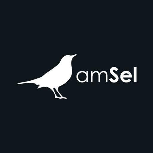 amSel - amerdis Sells player logo