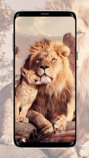 Android application Lion Wallpaper screenshort