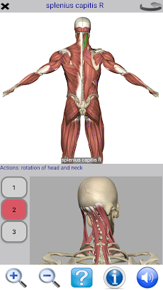 Visual Anatomy Liteのおすすめ画像2