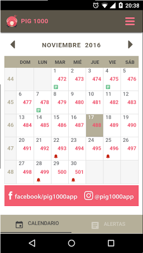 Vista previa de la aplicación