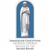 Immaculate Conception DS LA icon