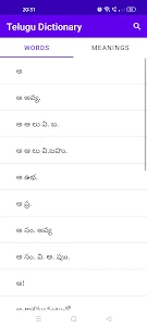 Telugu to Telugu Dictionary