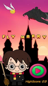 Fly Harry