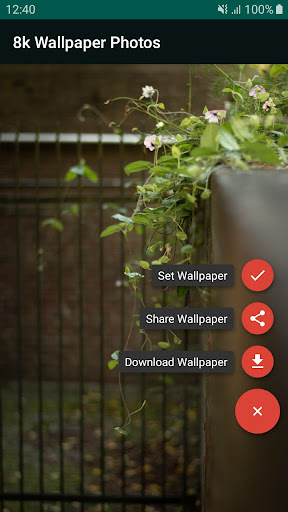 8k Wallpaper Photos Screen 2