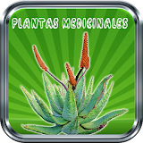 Medicinal Plants - Free Natural Medicine icon