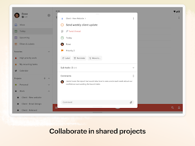 Todoist: to-do list & planner Gallery 9