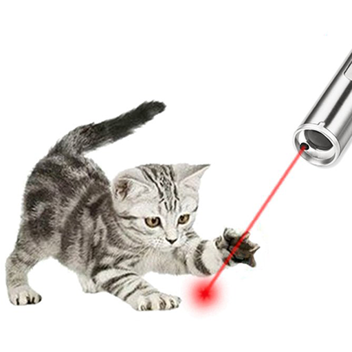 Laser for cats. logo