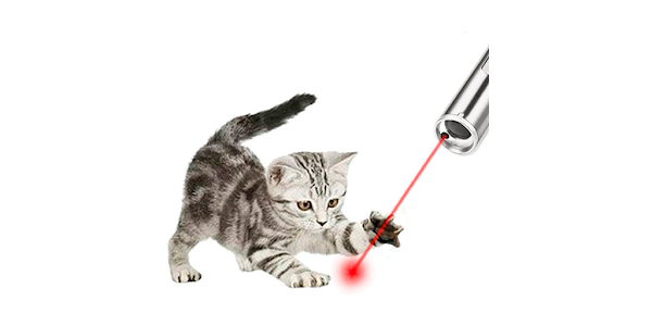 Laser Pointer para gatos - Apps en Google Play