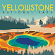 Yellowstone National Park Tour