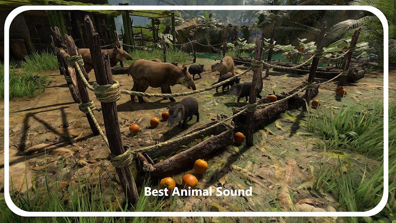 Green hell Animals Sound App - Latest version for Android - Download APK